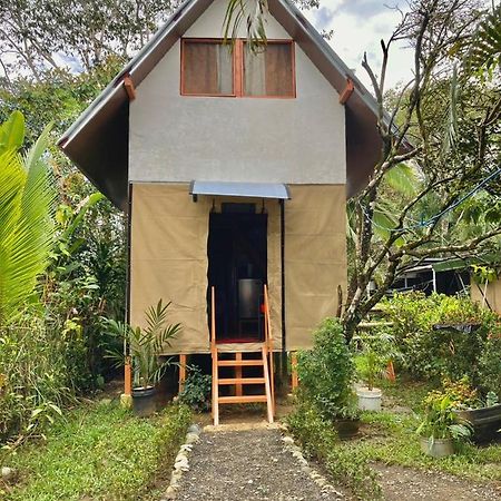 Cabana Equipada Puerto Jiménez Eksteriør bilde
